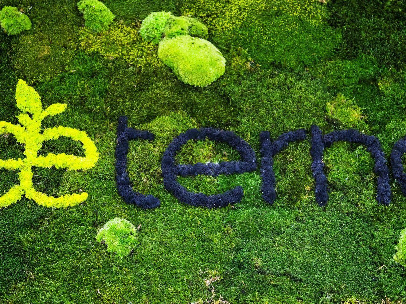 Pensión Aeterno Eco 3*